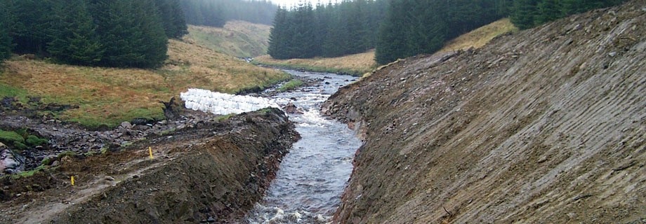 Dougas Water River Diversion